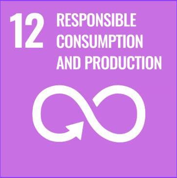 SDG 12