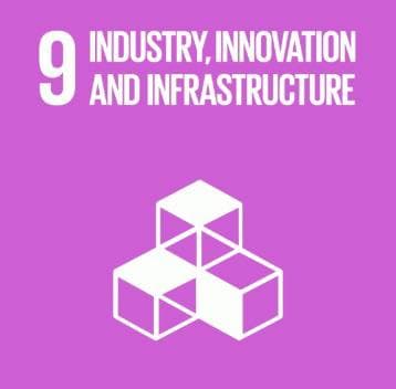 SDG 9