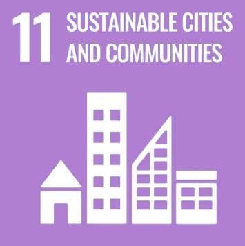 SDG 11