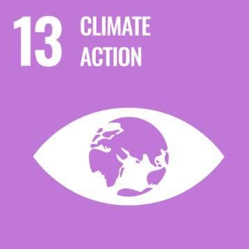 SDG 13